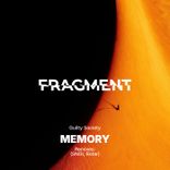 Artwork voor "Memory"