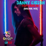 Artwork for "Top Radical"