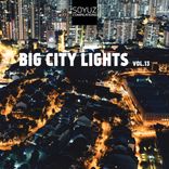 Artwork für "Big City Lights, Vol. 13"