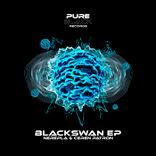 Artwork for "Blackswan"