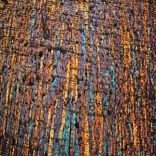 Artwork voor "Evanescence"