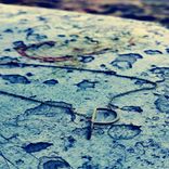 Artwork for "Prismatic"