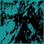 Artwork voor "Extended V.A. 2016"