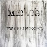 Tweelingziel