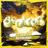 Artwork für "Sky Falls Down"