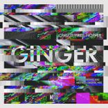 Artwork für "Ginger"