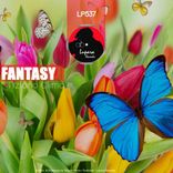 Artwork voor "Fantasy"