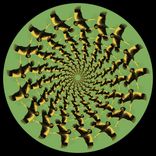 Artwork for "Meditation Life"