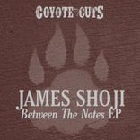 Artwork for "Between The Notes"