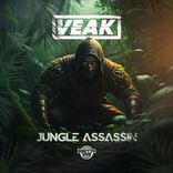 Artwork for "Jungle Assassin"