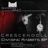 Portada para "Chasing Rabbits"