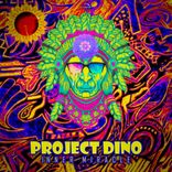 Portada para "Inner Miracle"