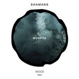 Artwork for "Morphe"