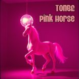 Artwork for "Pink Horse"