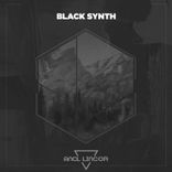 Artwork for "Balck Synth"