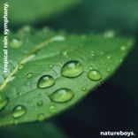 Artwork for "Tropical Rain Symphony: Costa Rican Rainforest"