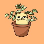 Artwork for "Lost Letter"