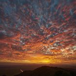 Portada para "Addicted"