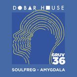 Artwork voor "Amygdala"