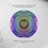 Artwork für "Where The Hearts Are Vol. 16"