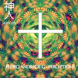 Artwork for "Perceptions"