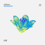 Artwork for "Bombora"