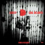 Artwork voor "Soul Delights"