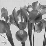 Artwork for "Seeker"