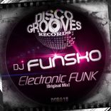 Artwork for "Electronic FUNK"