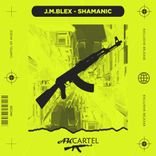Artwork voor "Shamanic"
