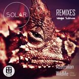 Artwork for "Australian Wildlife (Remixes)"