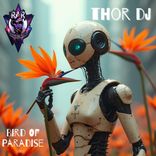 Artwork for "Bird Of Paradise"