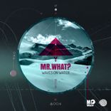 Artwork voor "Waves on Water"