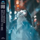 Artwork voor "You Never Belonged To Me"