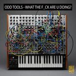 Artwork voor "What the F_ck Are U Doing?"