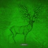 Artwork voor "Shootings"