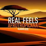 Artwork for "Afrotropicana"