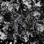 Portada para "Bonsai Jungle"