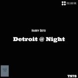 Artwork voor "Detroit @ Night"