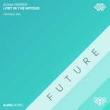 Artwork voor "Lost In The Woods"