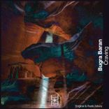 Artwork voor "Craving"