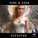 Artwork for "Elevated"