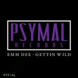 Artwork voor "Gettin Wild"