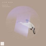 Artwork voor "Slow Burn"