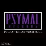 Artwork für "Break Your Soul"