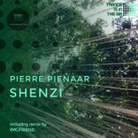 Artwork für "Shenzi"