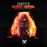 Portada para "Burnt Gerbil"