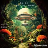 Portada para "Vuelto Loco"