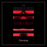 Portada para "Perfect Push"