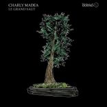 Artwork for "Le Grand Saut"